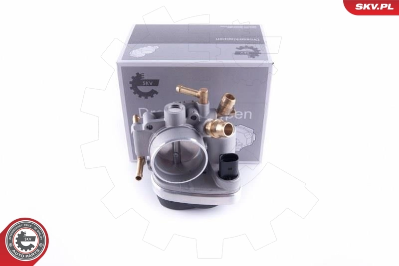 Throttle Body